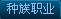 种族职业